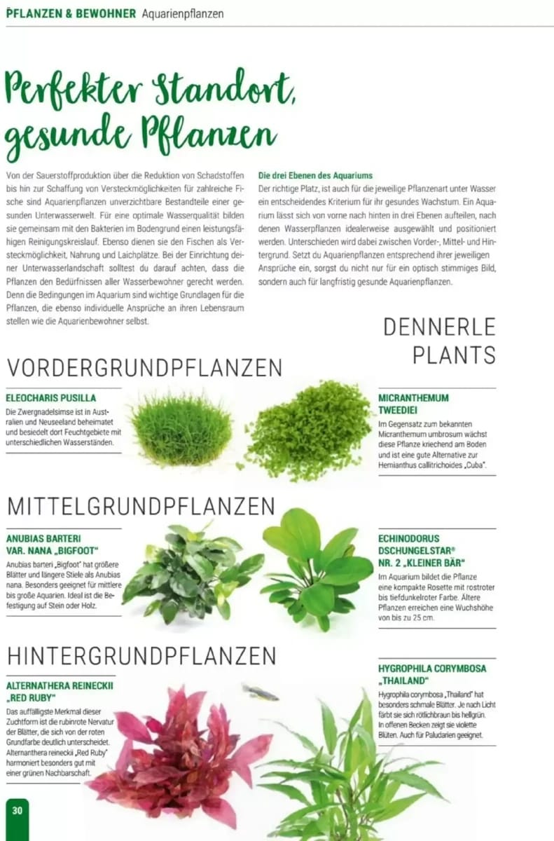 Prospekt Zookauf, Seite 30 von 56