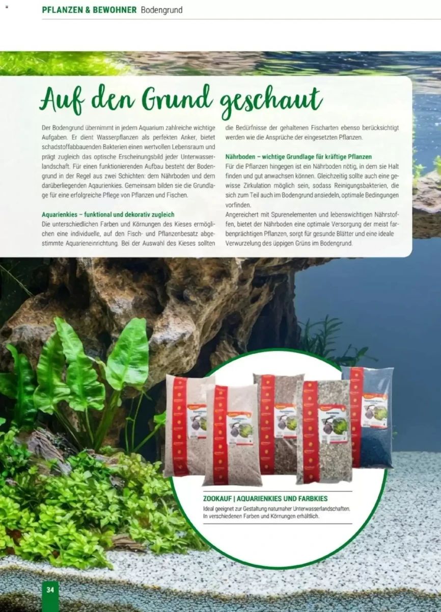 Prospekt Zookauf, Seite 34 von 56