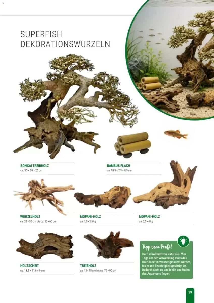 Prospekt Zookauf, Seite 39 von 56