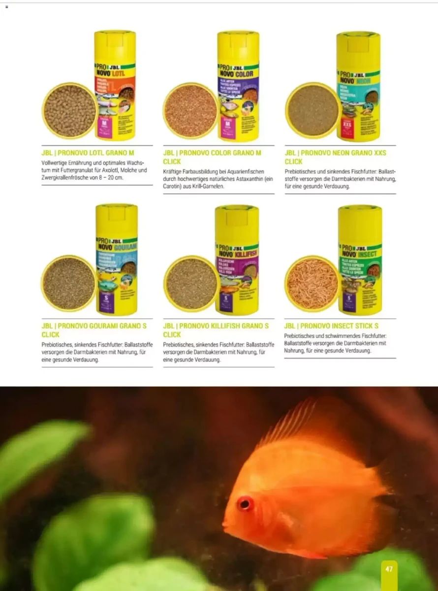 Prospekt Zookauf, Seite 47 von 56