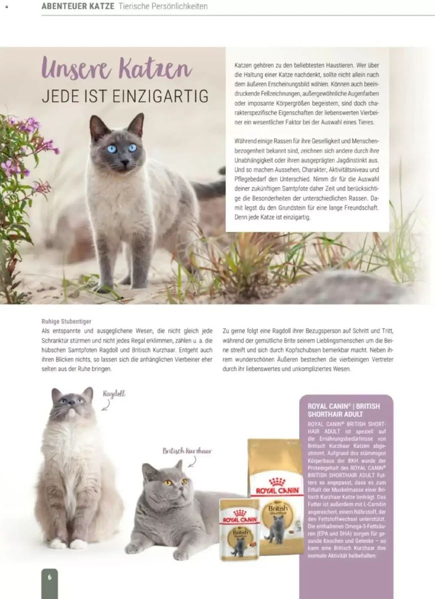 Prospekt Zookauf, Seite 6 von 60