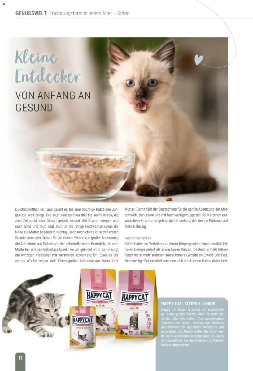 Prospekt Zookauf, Seite 12 von 60