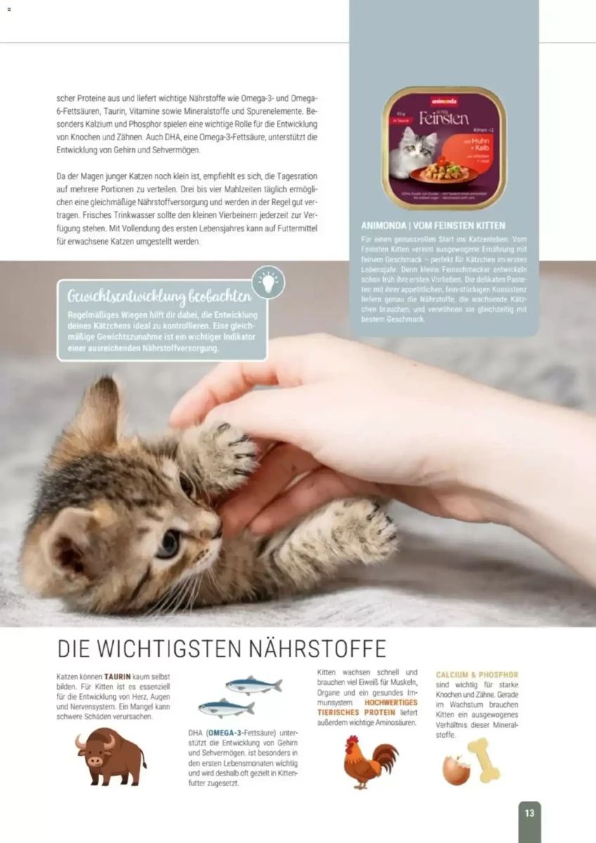 Prospekt Zookauf, Seite 13 von 60