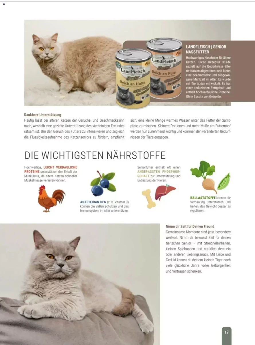 Prospekt Zookauf, Seite 17 von 60