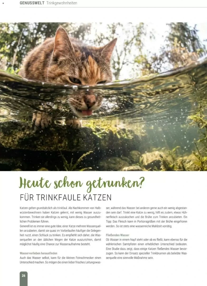 Prospekt Zookauf, Seite 26 von 60