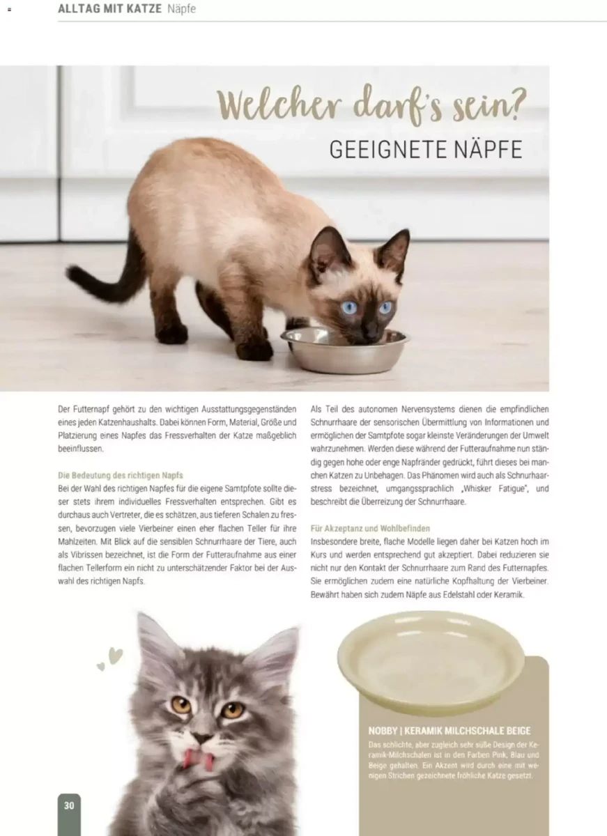 Prospekt Zookauf, Seite 30 von 60