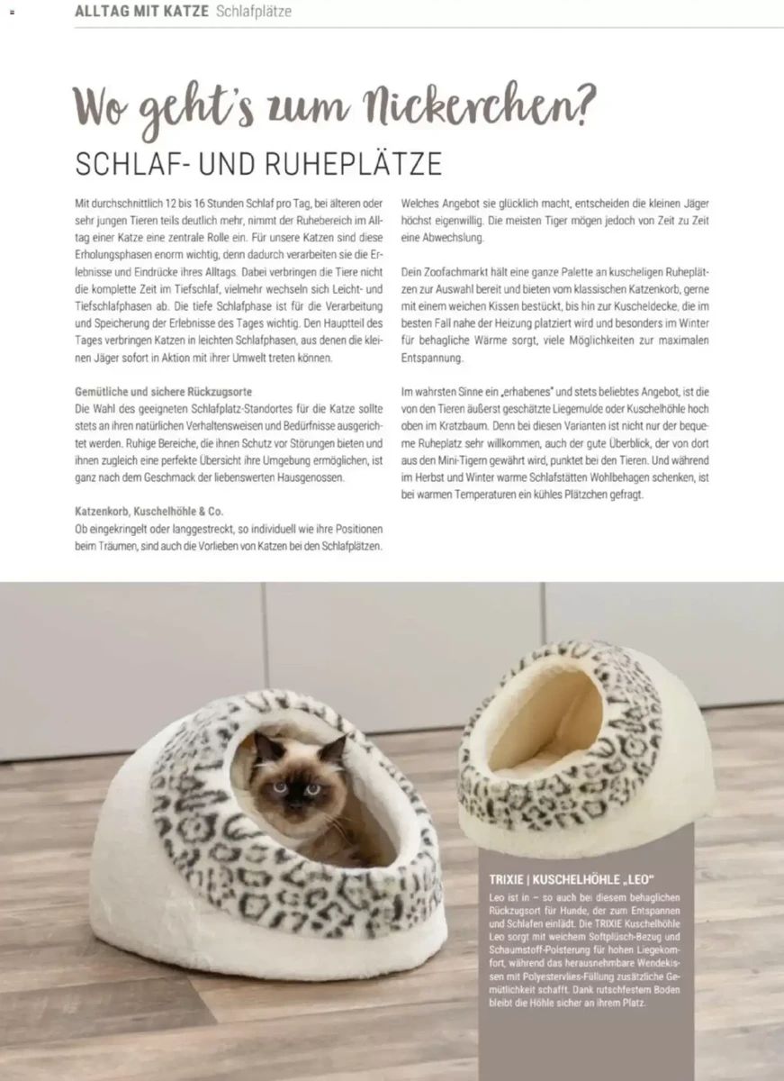Prospekt Zookauf, Seite 32 von 60