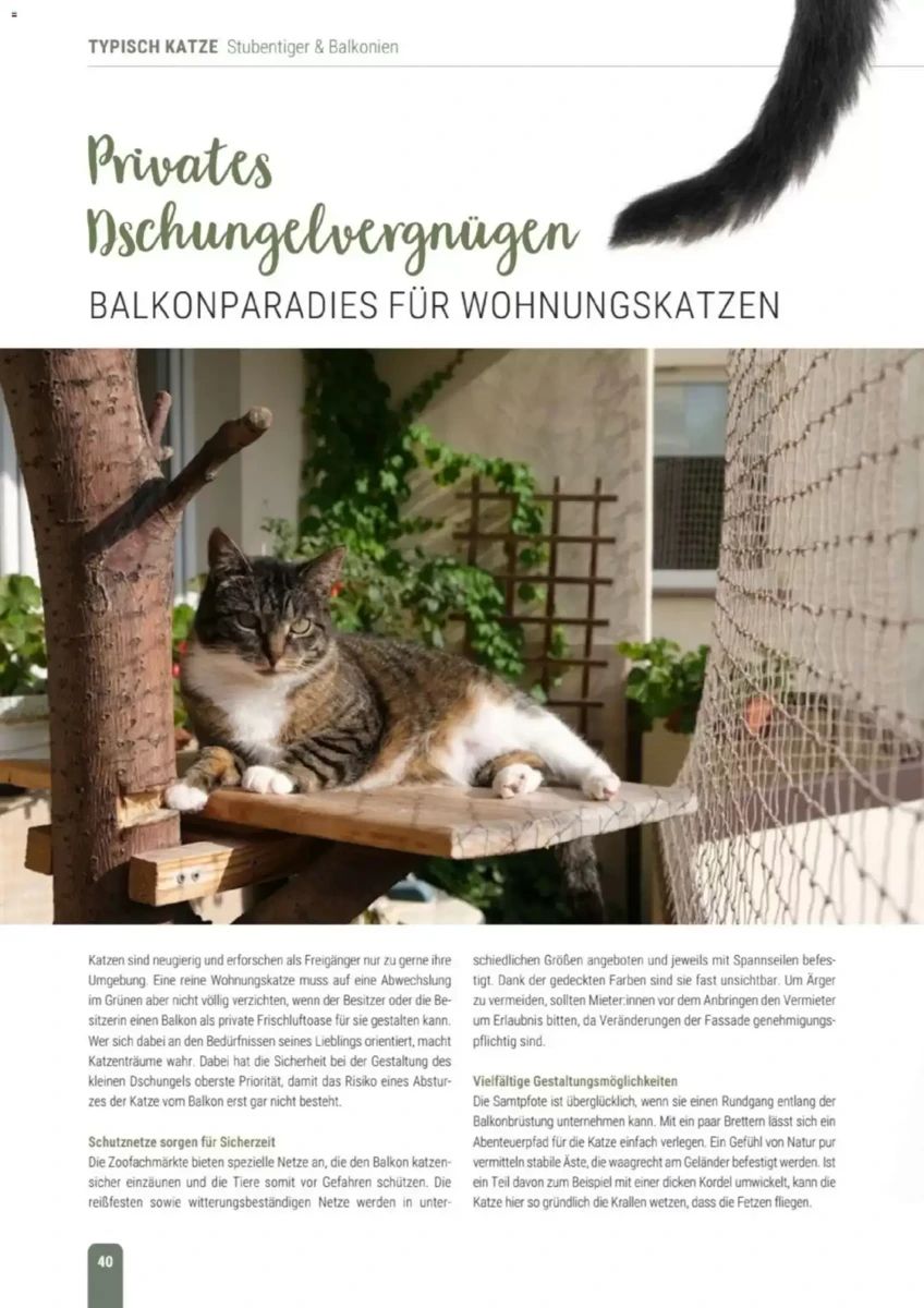 Prospekt Zookauf, Seite 40 von 60