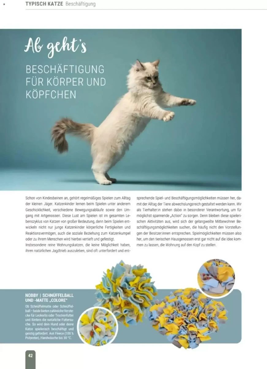 Prospekt Zookauf, Seite 42 von 60