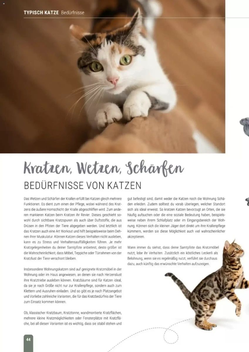 Prospekt Zookauf, Seite 44 von 60
