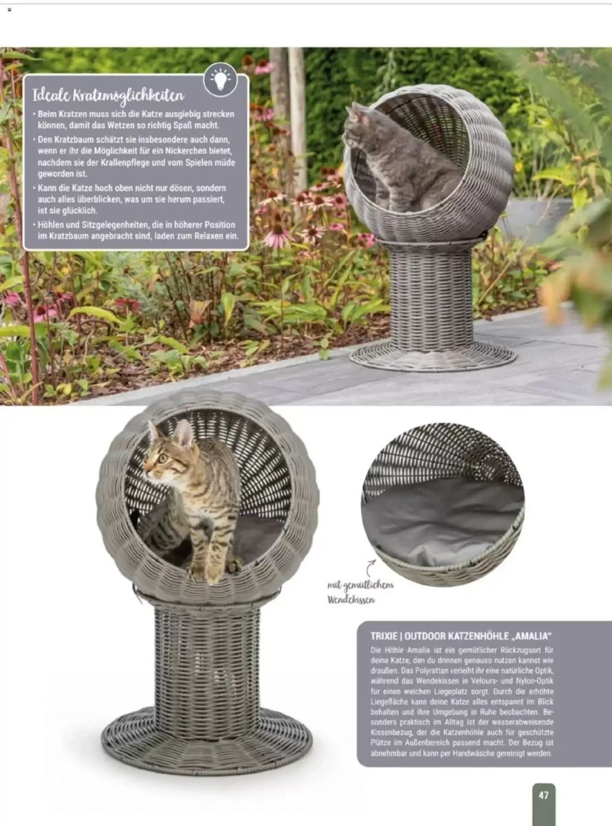 Prospekt Zookauf, Seite 47 von 60