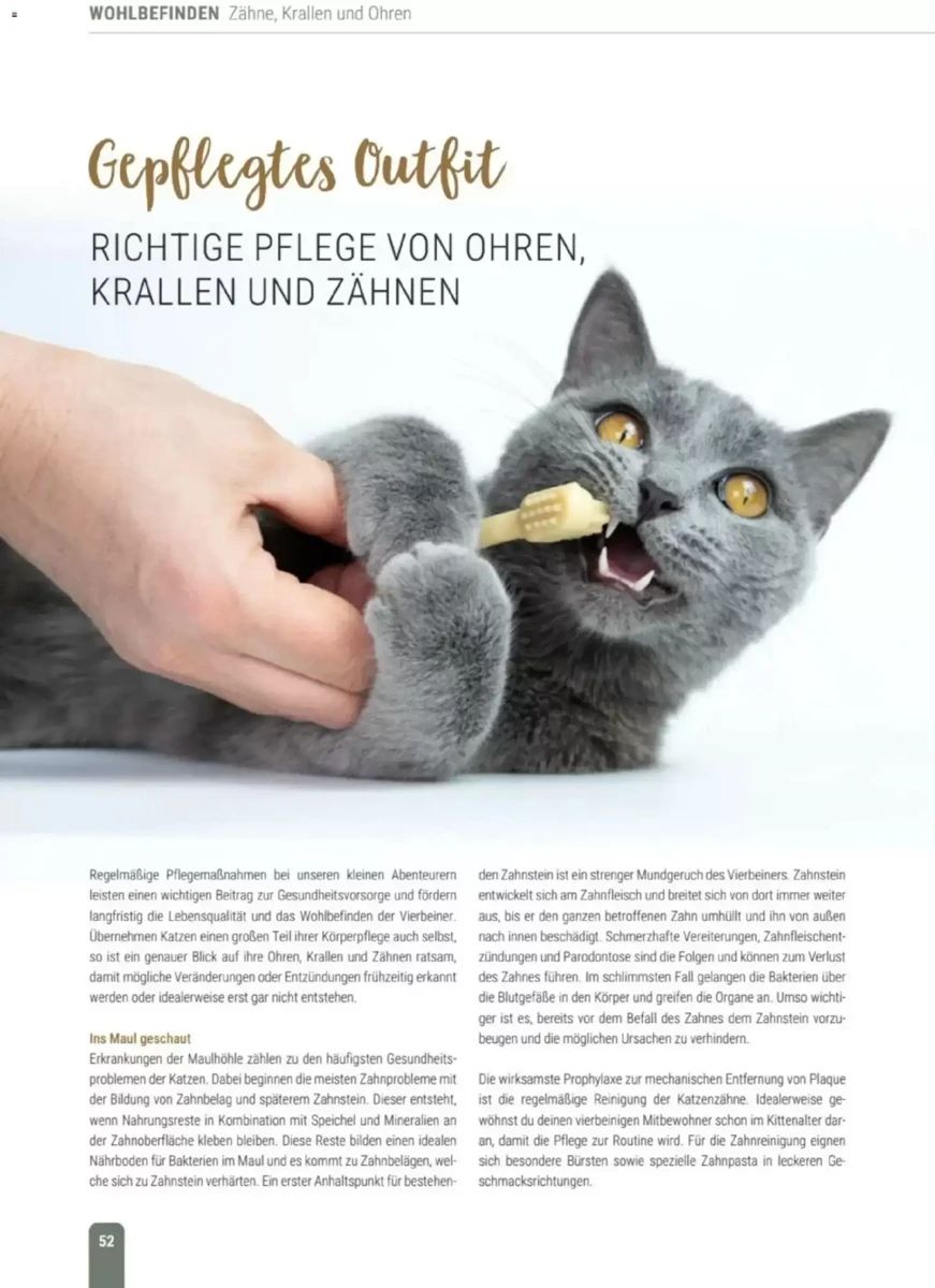 Prospekt Zookauf, Seite 52 von 60