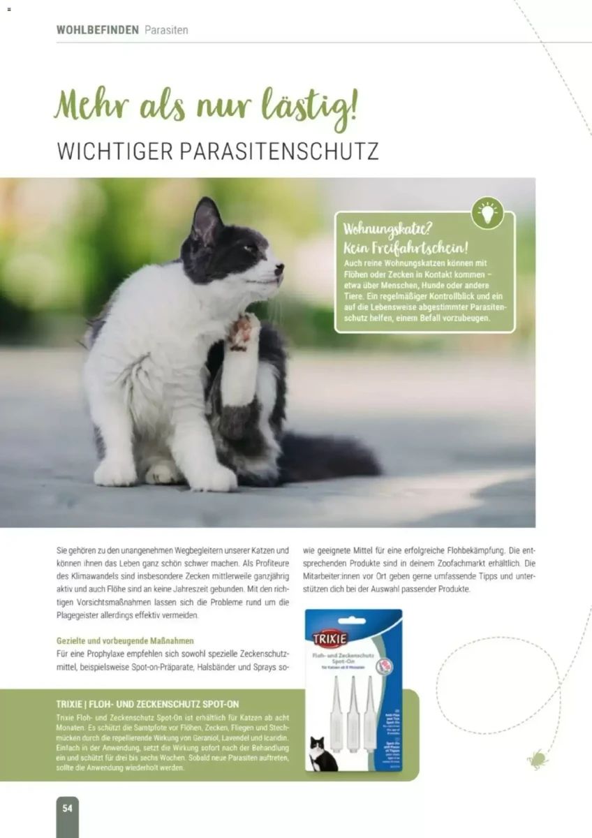 Prospekt Zookauf, Seite 54 von 60