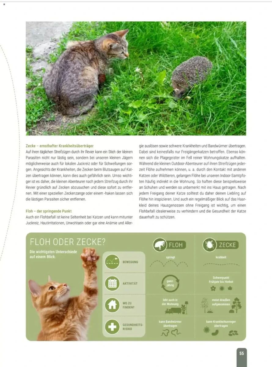 Prospekt Zookauf, Seite 55 von 60