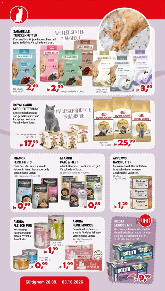 Prospekt Zookauf, Seite 6 von 12