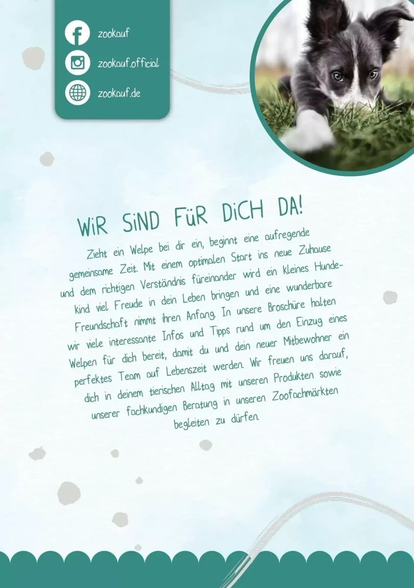 Prospekt Zookauf, Seite 2 von 16