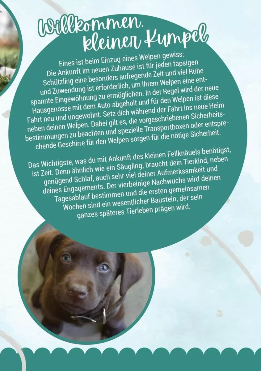 Prospekt Zookauf, Seite 3 von 16
