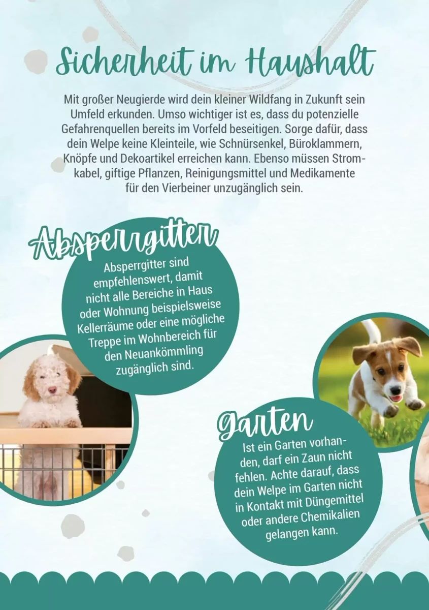 Prospekt Zookauf, Seite 4 von 16