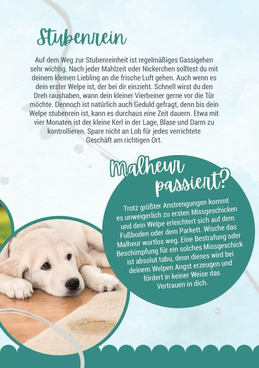 Prospekt Zookauf, Seite 5 von 16