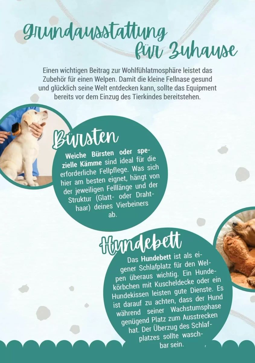 Prospekt Zookauf, Seite 6 von 16
