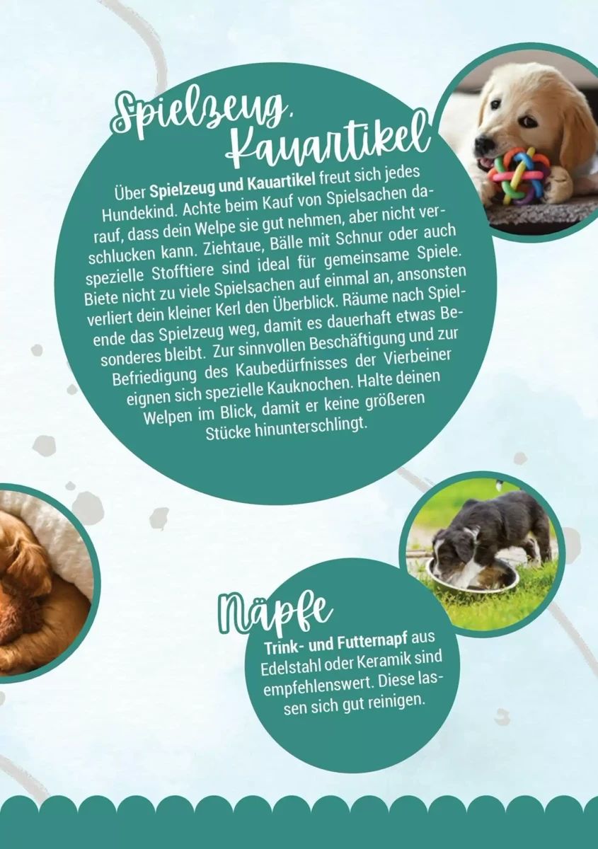 Prospekt Zookauf, Seite 7 von 16