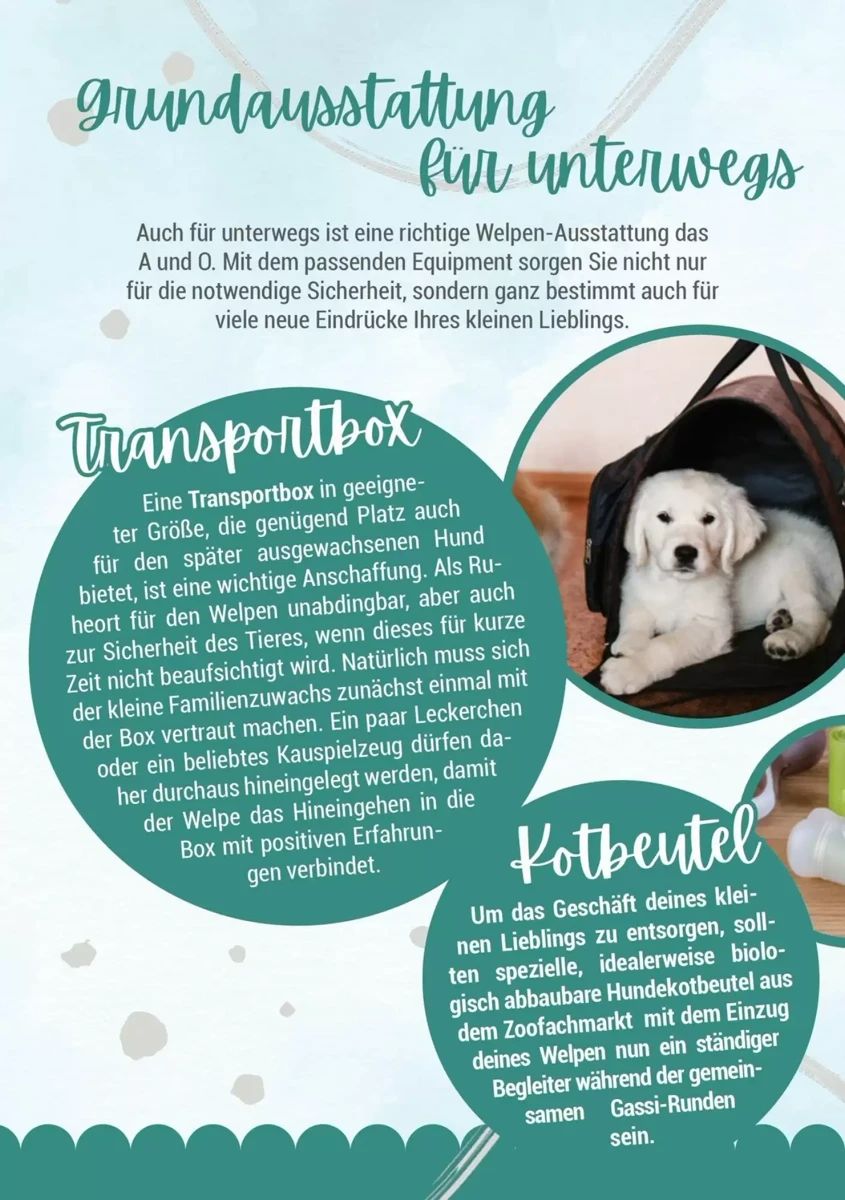 Prospekt Zookauf, Seite 8 von 16