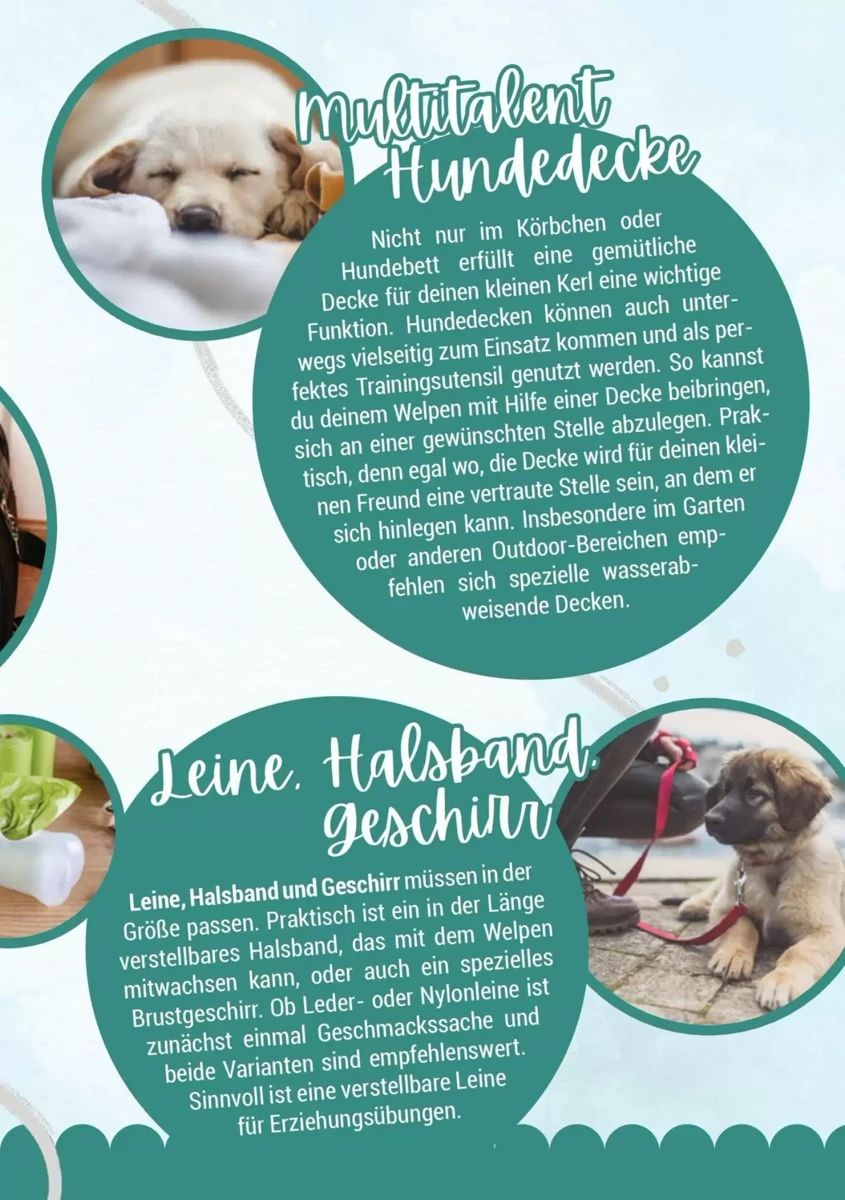 Prospekt Zookauf, Seite 9 von 16