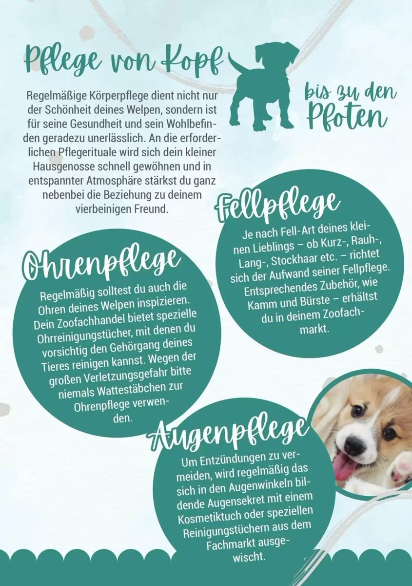 Prospekt Zookauf, Seite 10 von 16