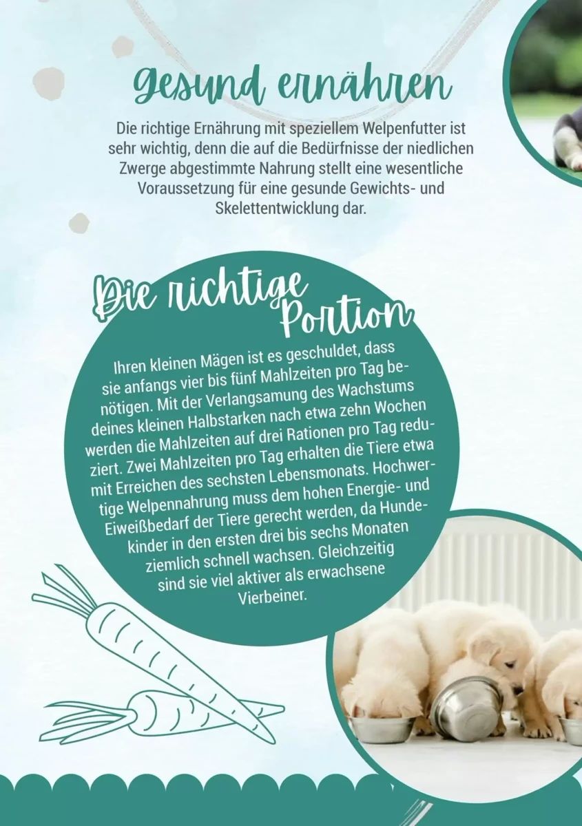 Prospekt Zookauf, Seite 12 von 16