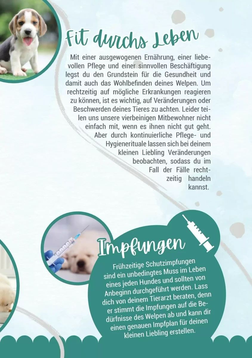 Prospekt Zookauf, Seite 13 von 16