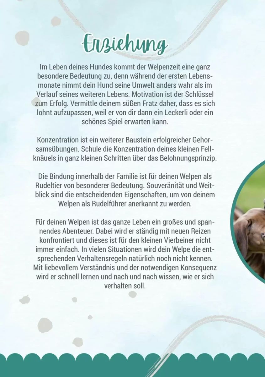 Prospekt Zookauf, Seite 14 von 16