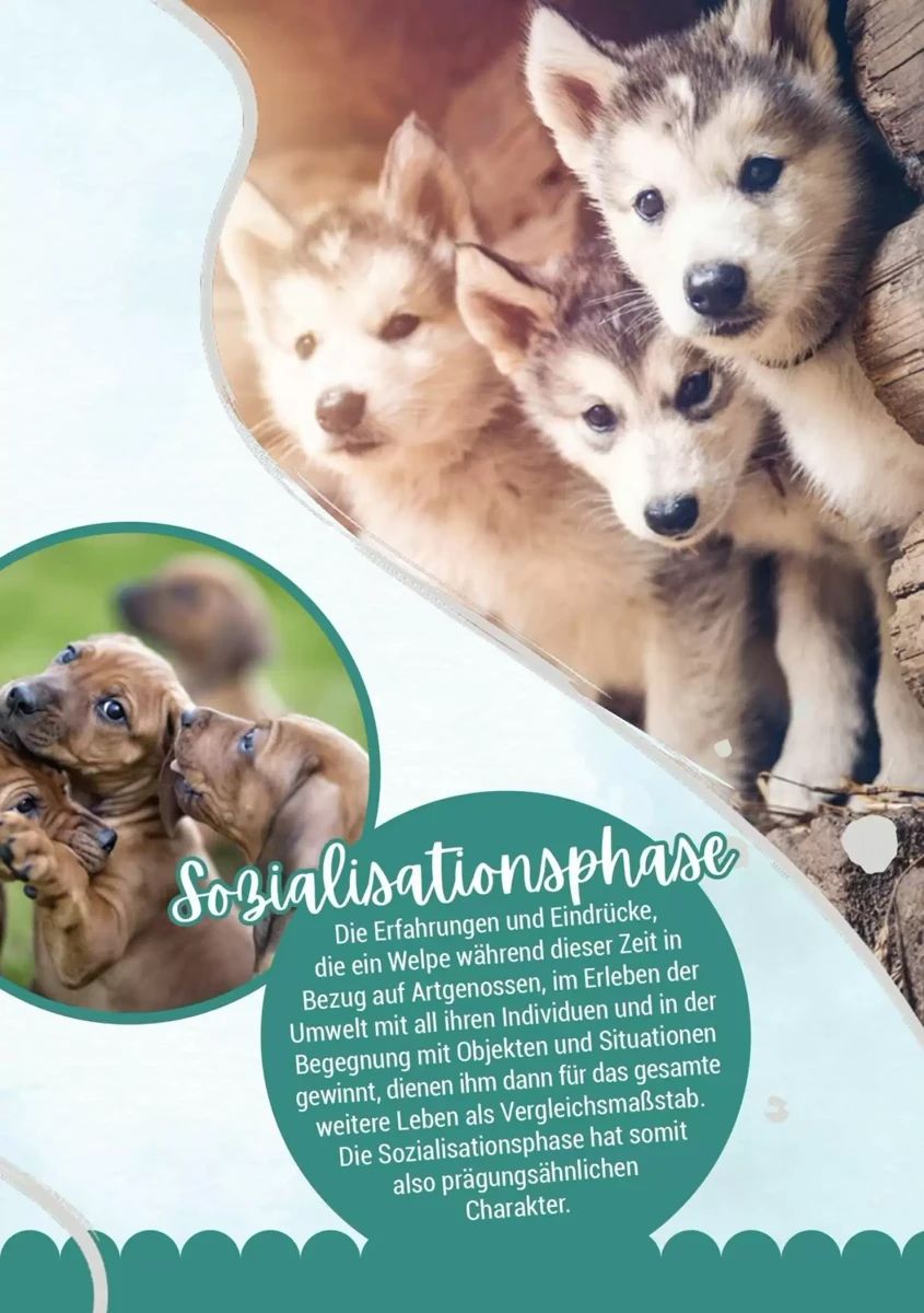Prospekt Zookauf, Seite 15 von 16