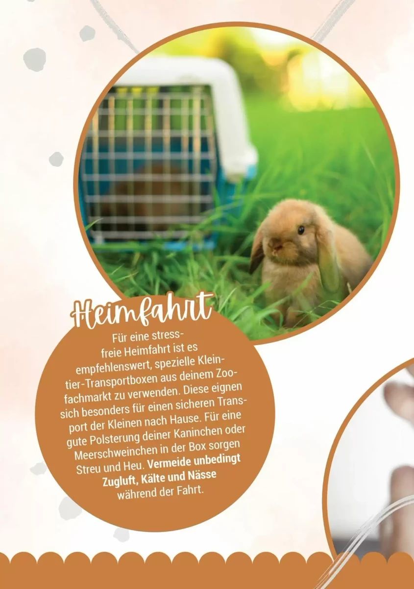 Prospekt Zookauf, Seite 4 von 16