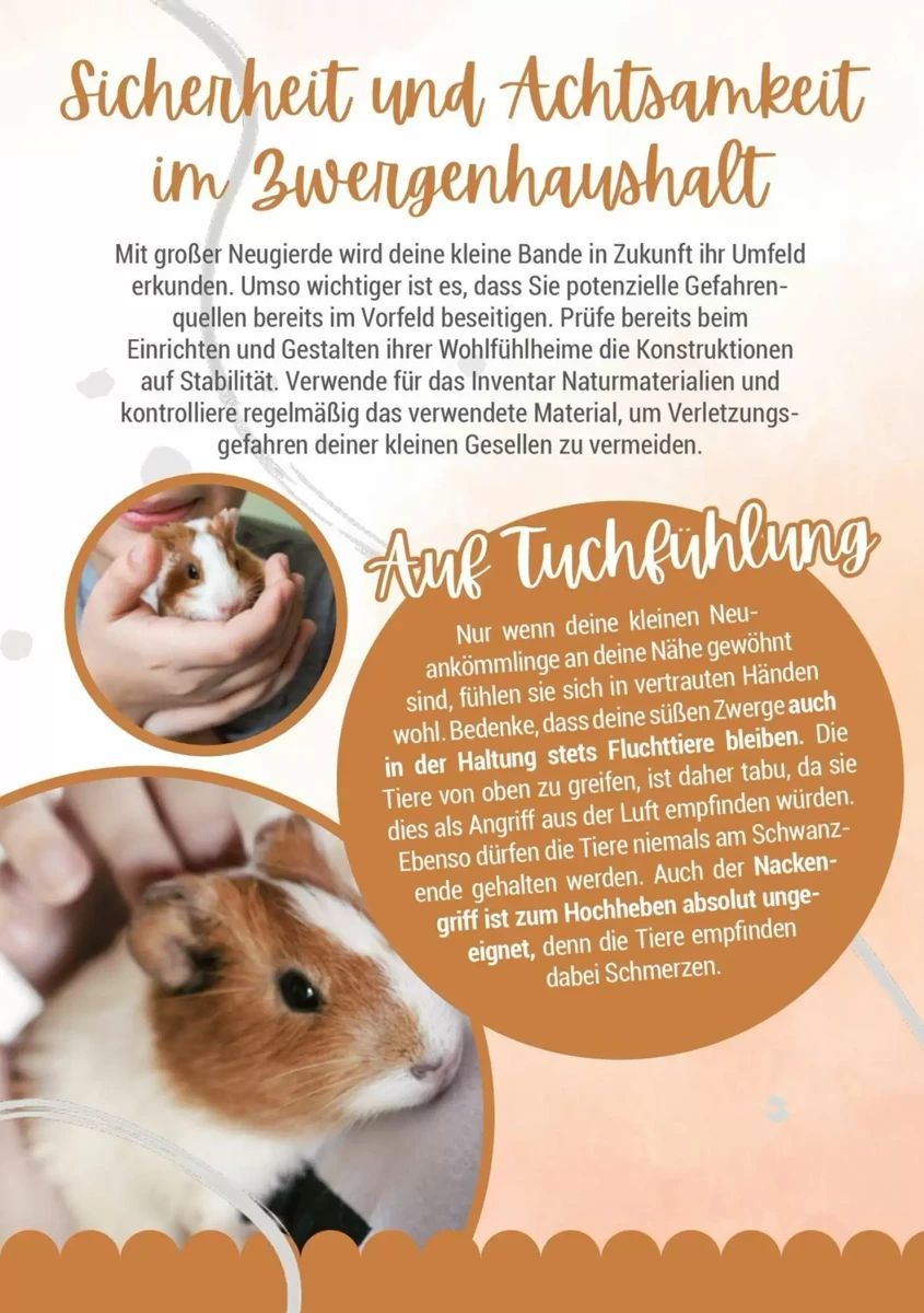 Prospekt Zookauf, Seite 5 von 16