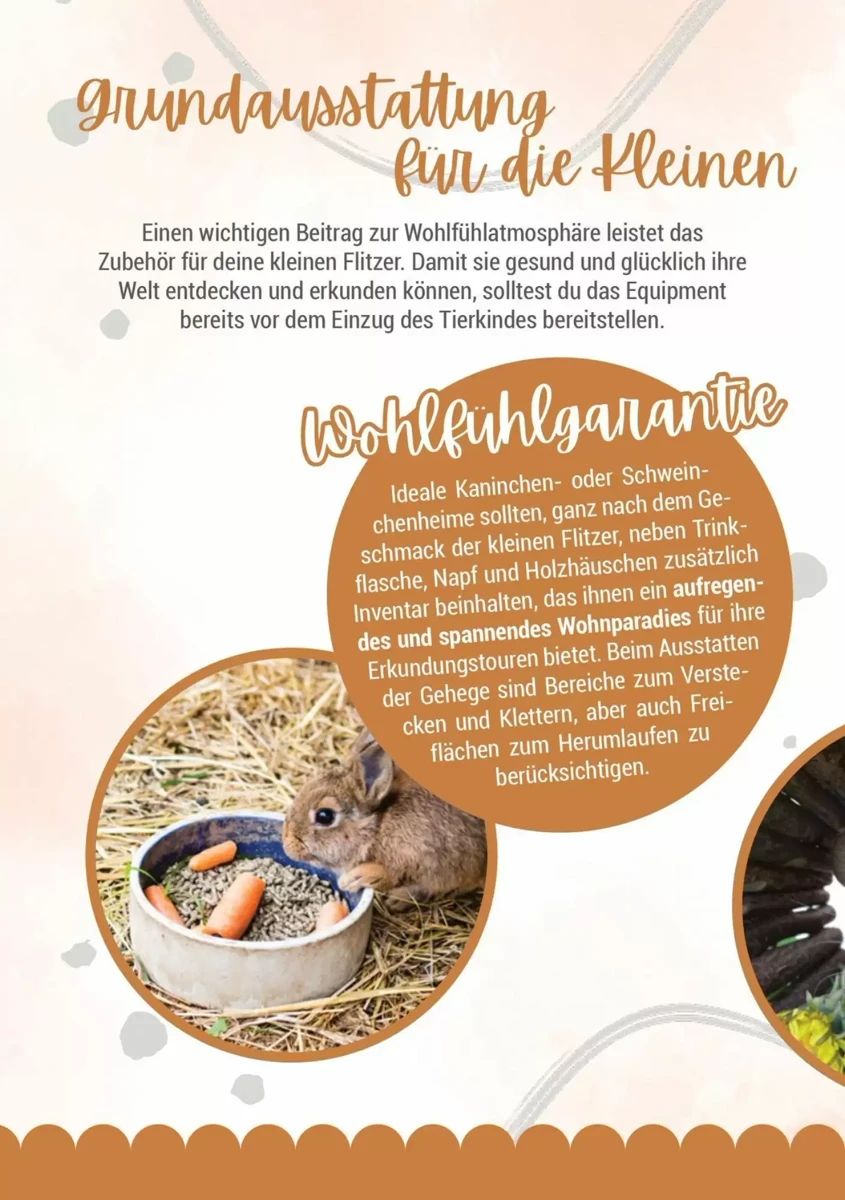 Prospekt Zookauf, Seite 6 von 16