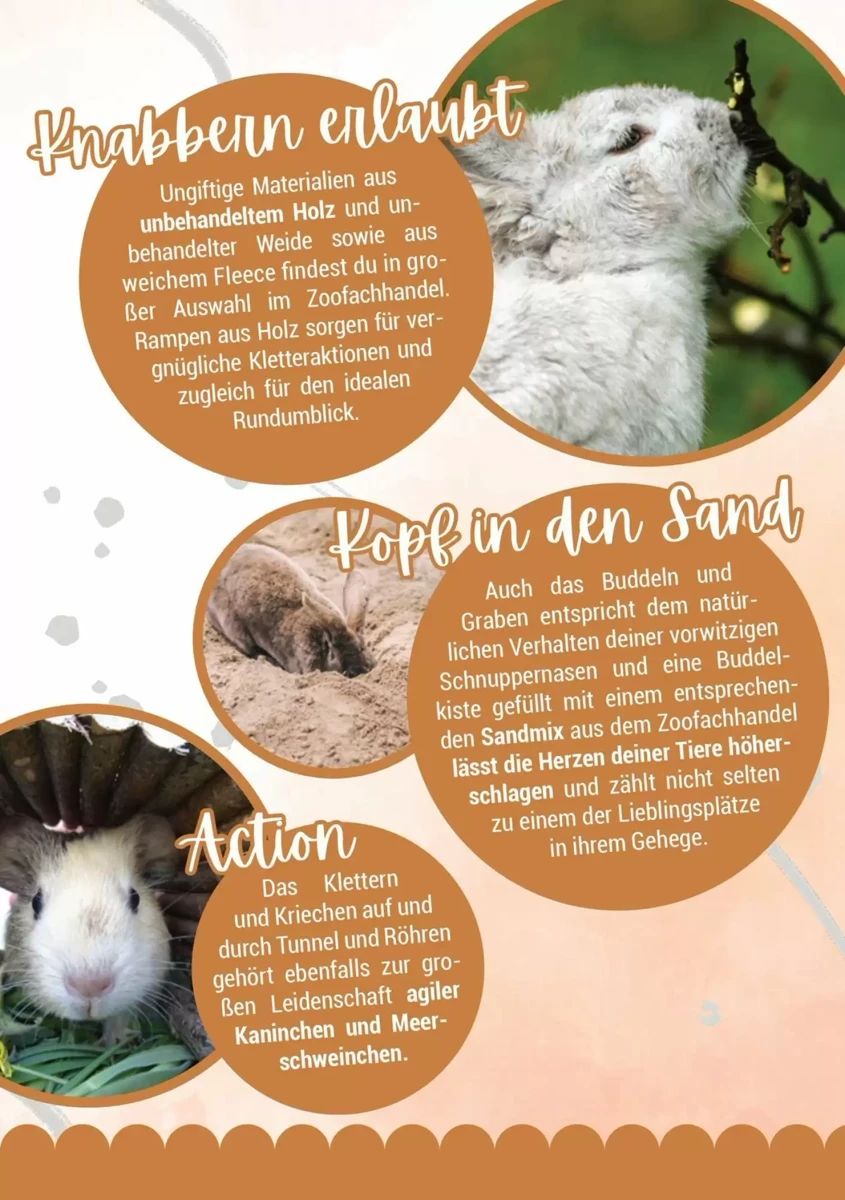 Prospekt Zookauf, Seite 7 von 16