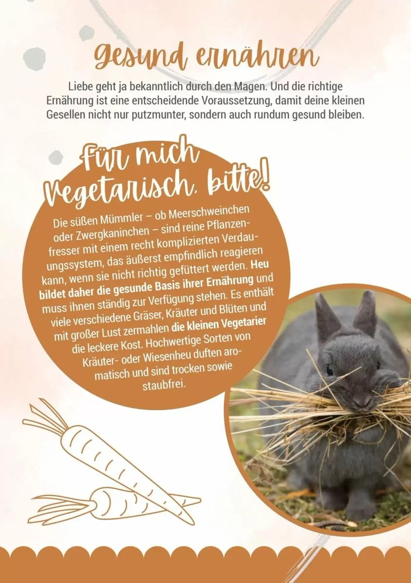 Prospekt Zookauf, Seite 8 von 16