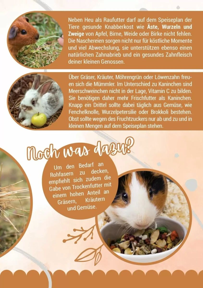 Prospekt Zookauf, Seite 9 von 16