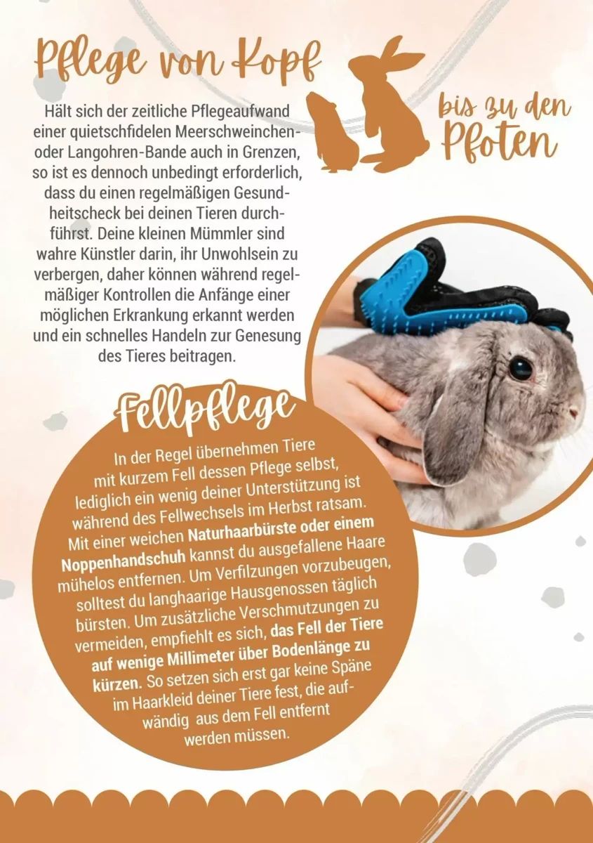 Prospekt Zookauf, Seite 10 von 16