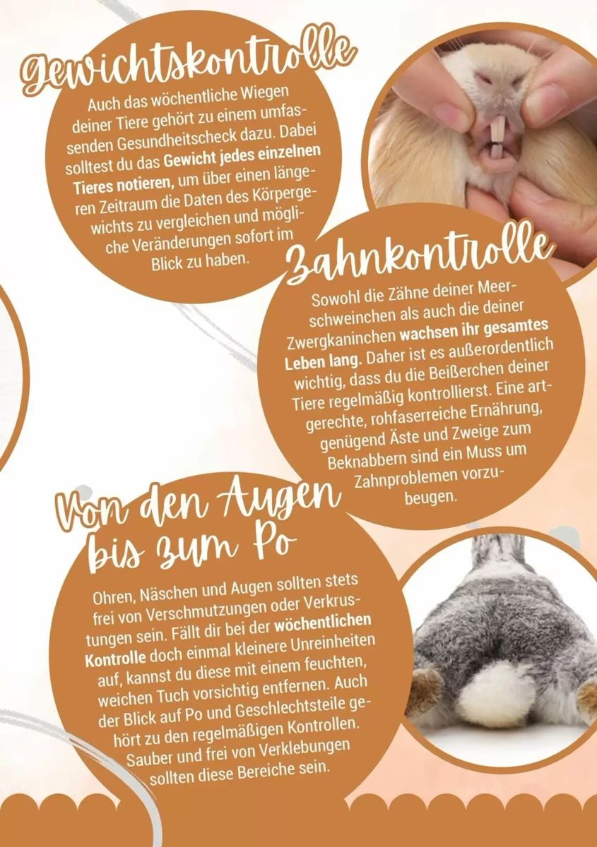 Prospekt Zookauf, Seite 11 von 16