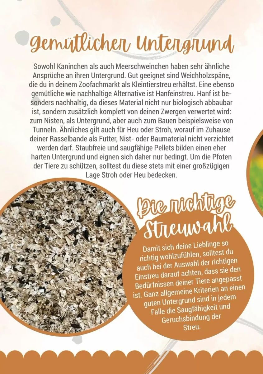 Prospekt Zookauf, Seite 12 von 16