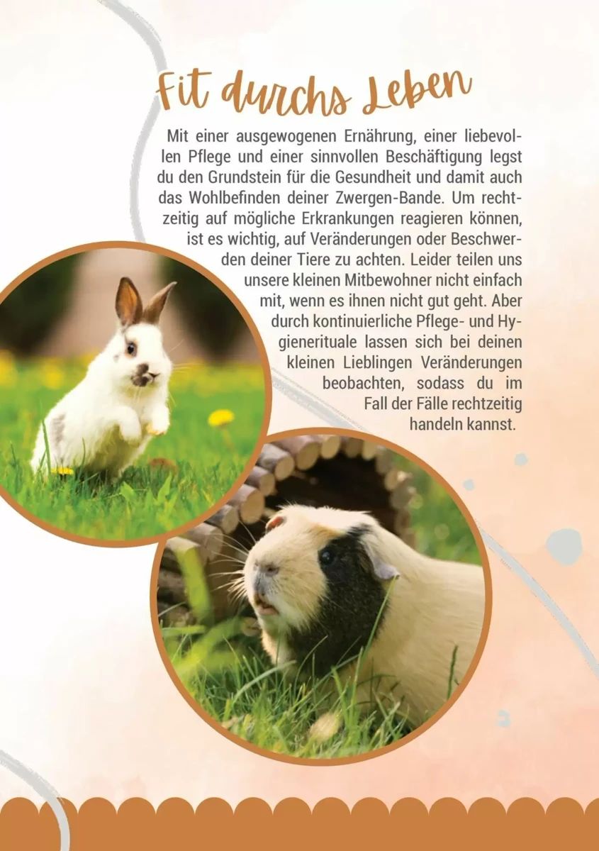 Prospekt Zookauf, Seite 13 von 16