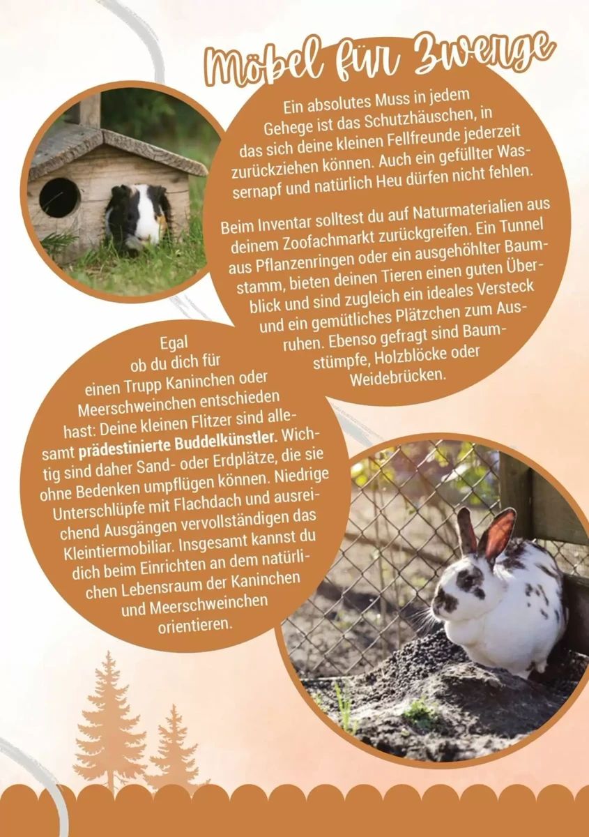 Prospekt Zookauf, Seite 15 von 16