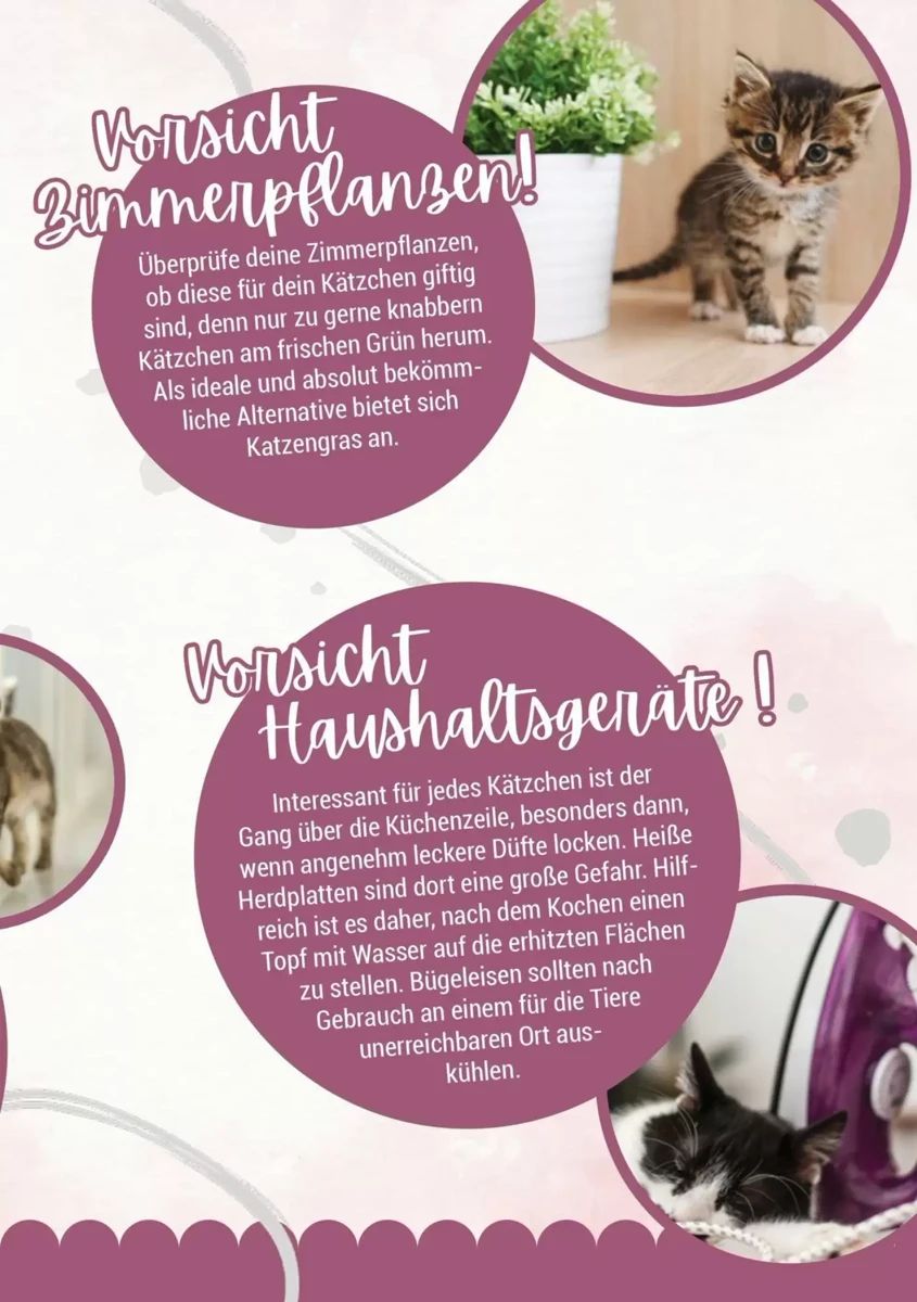 Prospekt Zookauf, Seite 5 von 16