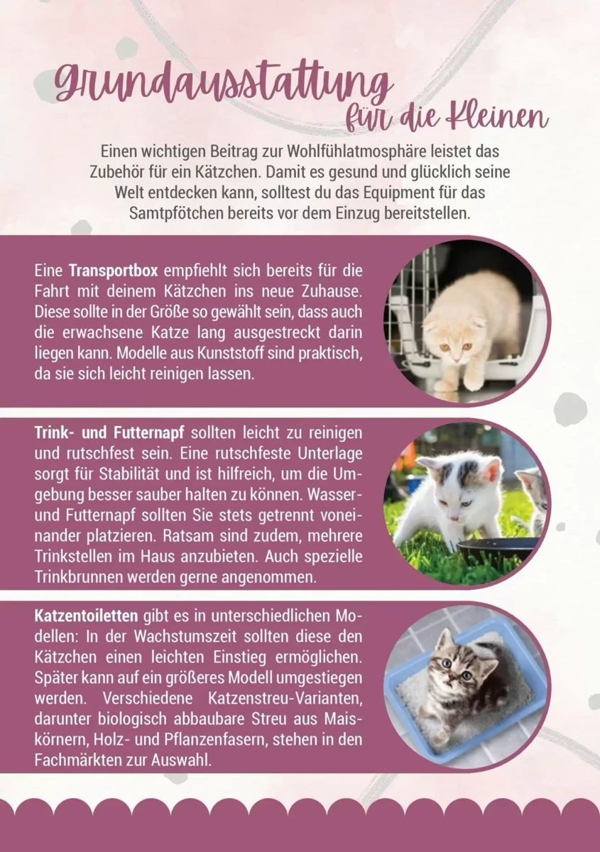 Prospekt Zookauf, Seite 6 von 16