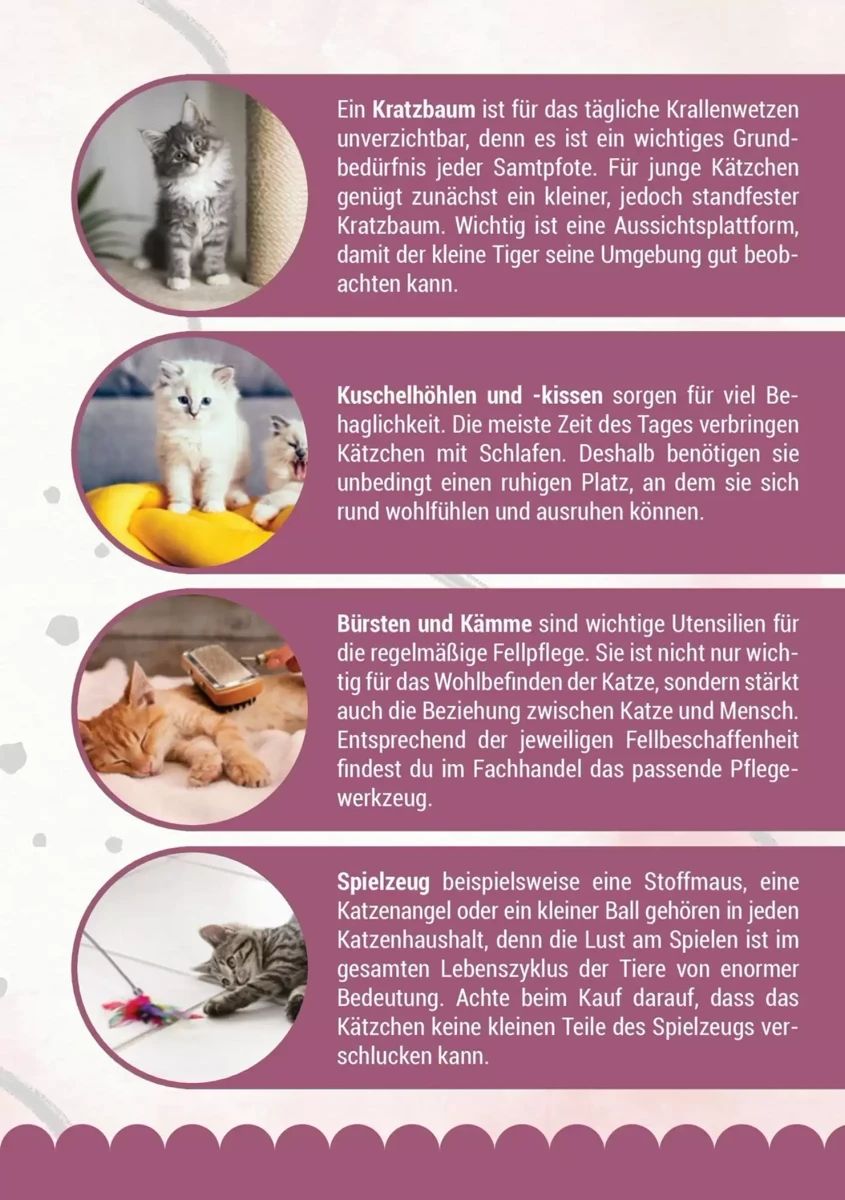 Prospekt Zookauf, Seite 7 von 16