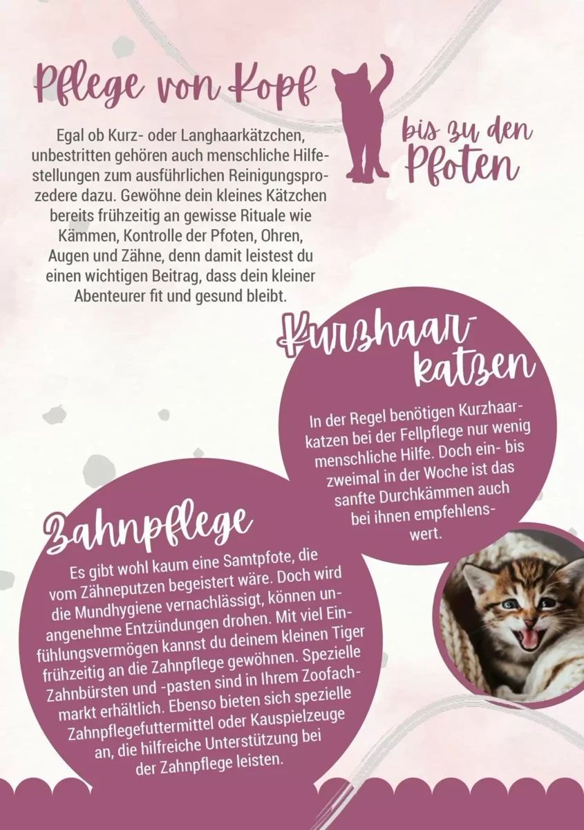 Prospekt Zookauf, Seite 8 von 16