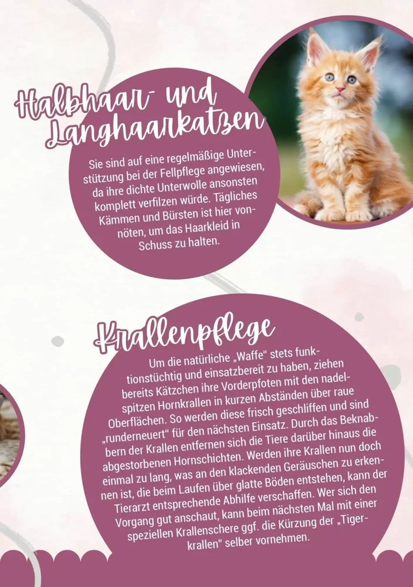 Prospekt Zookauf, Seite 9 von 16