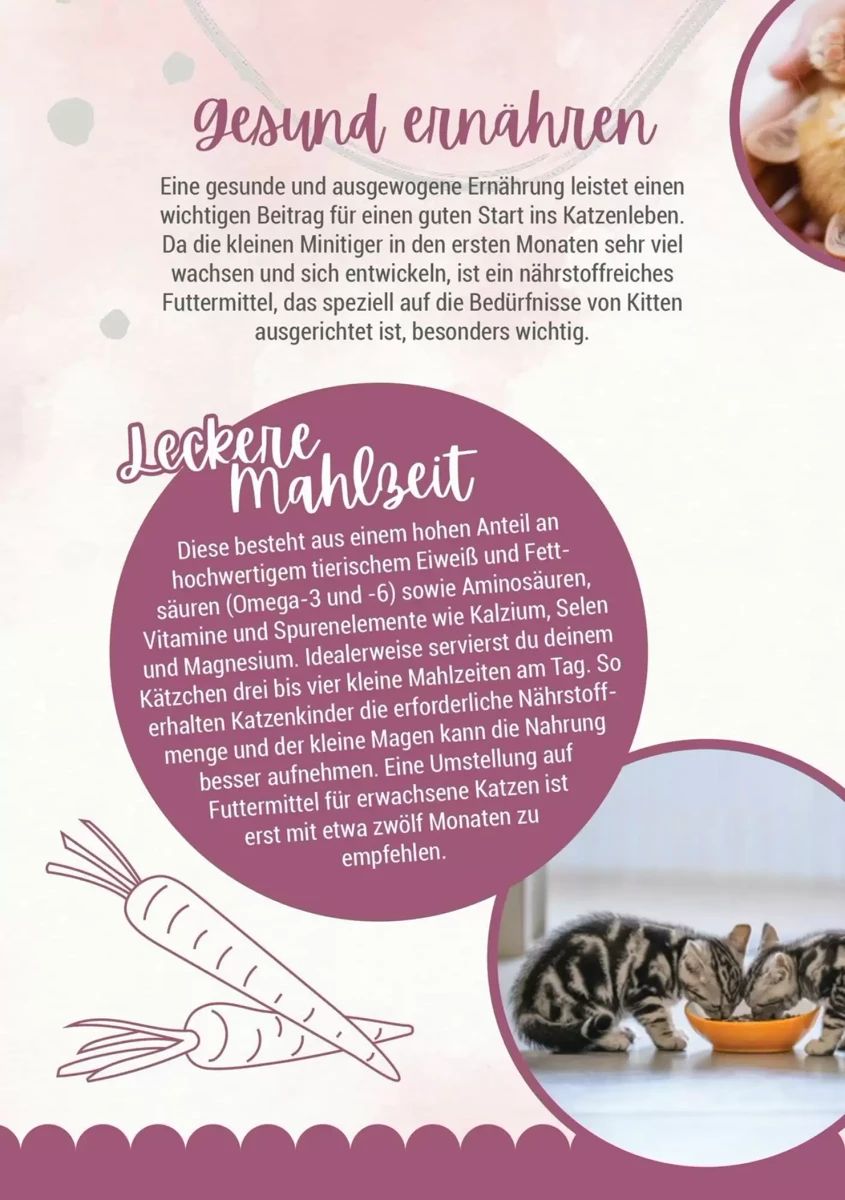 Prospekt Zookauf, Seite 10 von 16