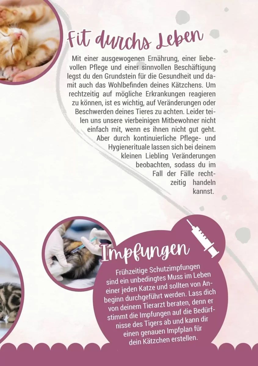 Prospekt Zookauf, Seite 11 von 16